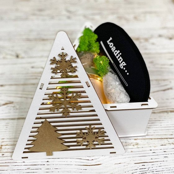 Подарунок дівчині на Новий Рік 4420