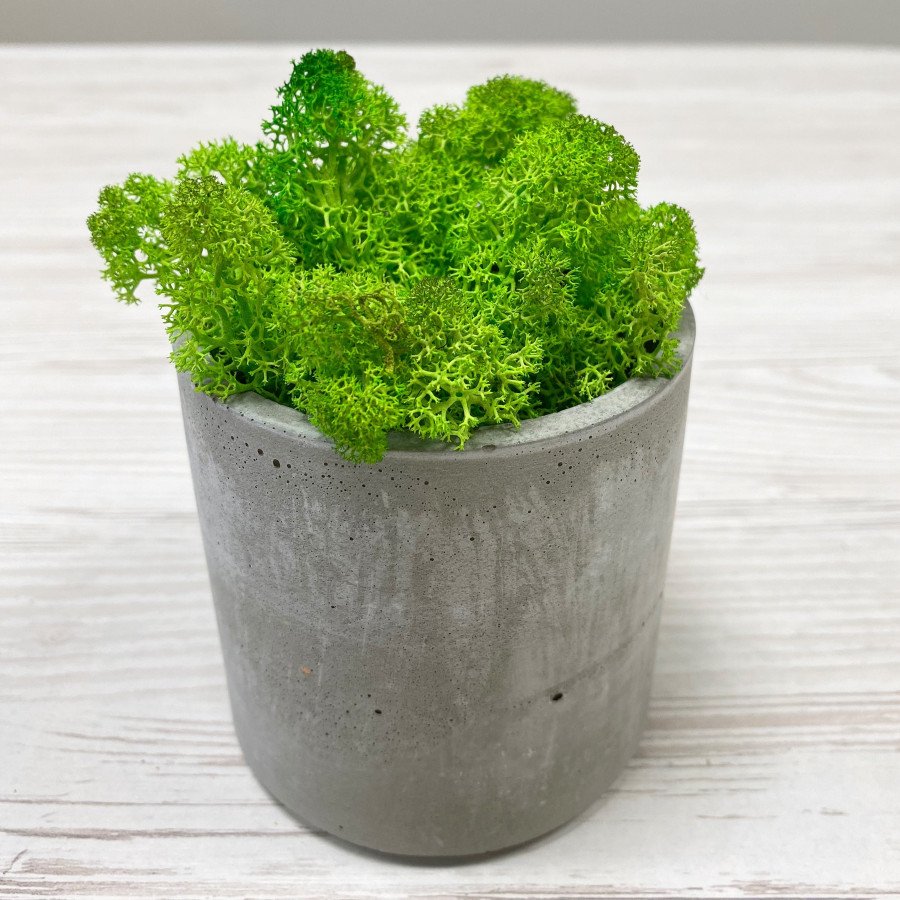 кашпо з бетону