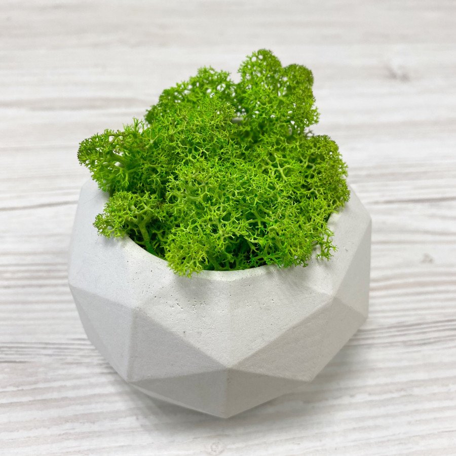 кругле бетонне кашпо з гранями