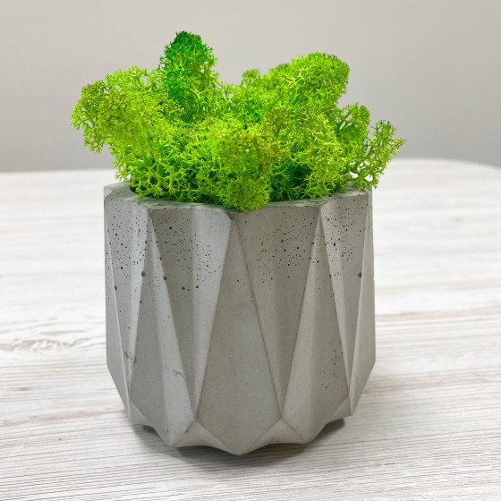 Бетонне кашпо з гранями з мохом