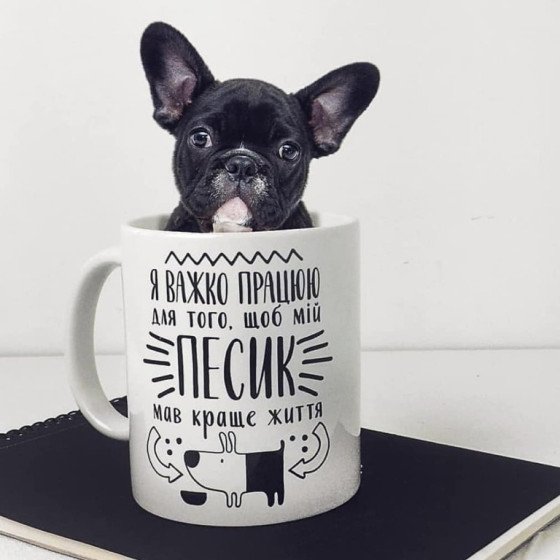 Чашка для любителя четвероногих друзів